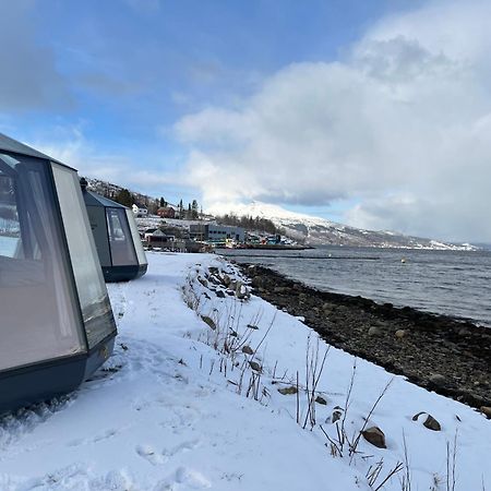 Отель Elvegard Fjordcamp Grov Экстерьер фото