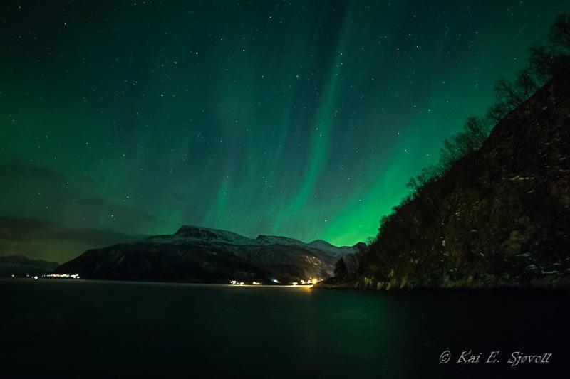 Отель Elvegard Fjordcamp Grov Экстерьер фото